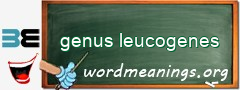 WordMeaning blackboard for genus leucogenes
